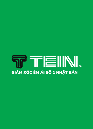 Giảm xóc TEIN